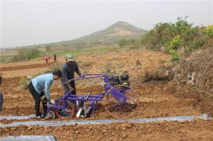 Planting cases