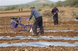 Planting cases