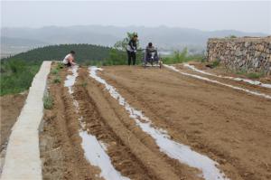 Planting cases